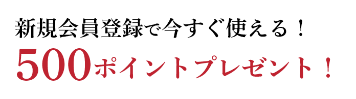 新規会員登録で500ポイントGET！