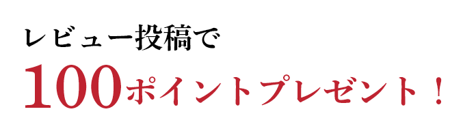 レビュー投稿100ポイントGET！