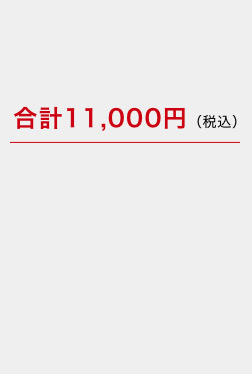 合計11,000円（税込）