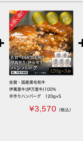 佐賀・国産黒毛和牛伊萬里牛(伊萬里牛)100%手作りハンバーグ　120ｇ×5