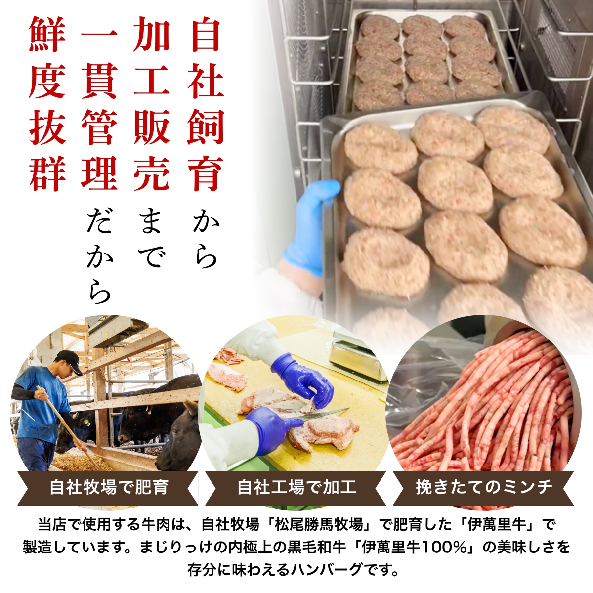 自社飼育から加工販売まで一貫管理だから鮮度抜群