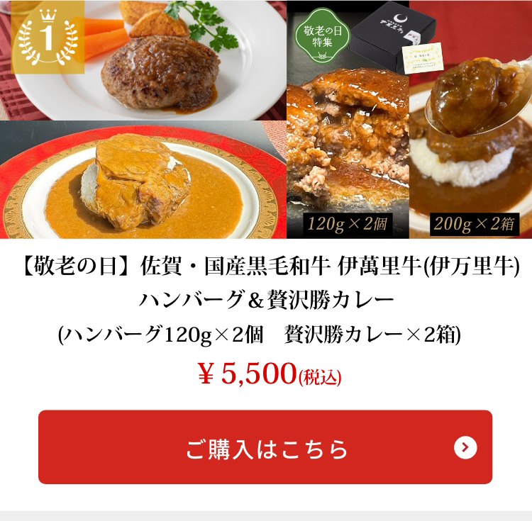 【敬老の日】佐賀・国産黒毛和牛 伊萬里牛(伊万里牛)ハンバーグ＆贅沢勝カレー