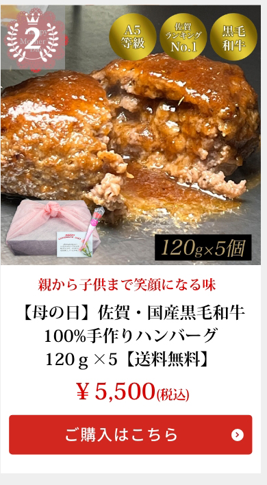 100%手作りハンバーグ　120ｇ×5【送料無料】