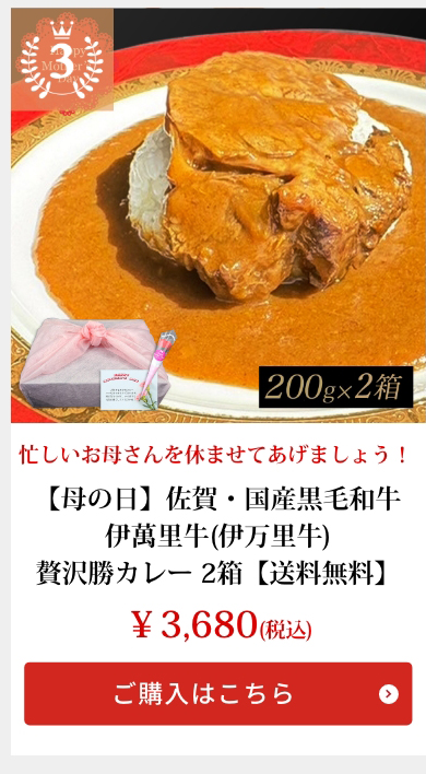 贅沢勝カレー 2箱【送料無料】