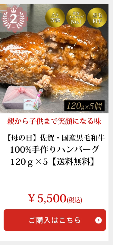 100%手作りハンバーグ　120ｇ×5【送料無料】