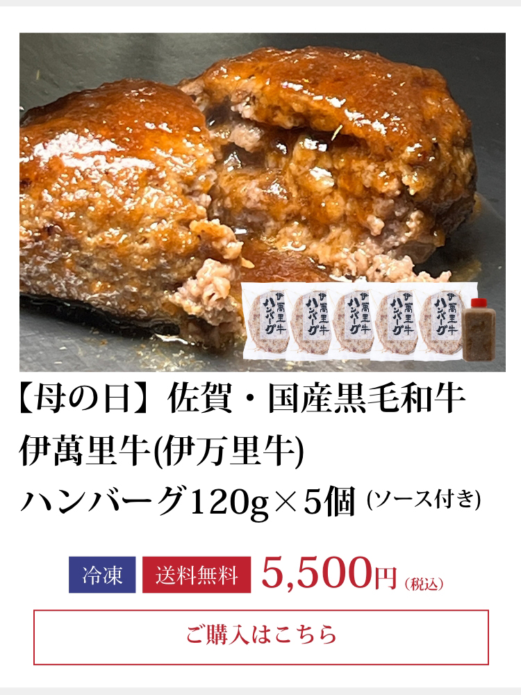 伊萬里牛ハンバーグ＆黒カレーセット　各2個入り