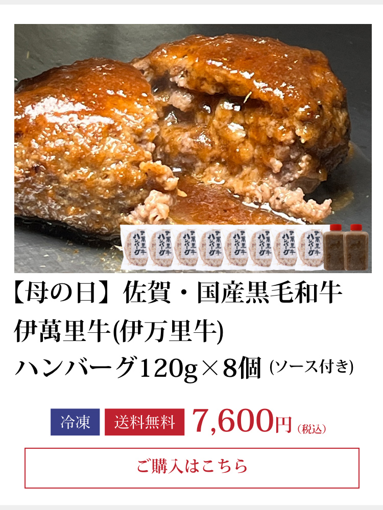 伊萬里牛ハンバーグ5個入