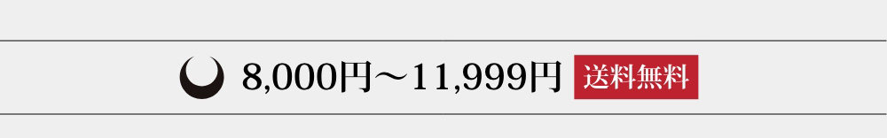 8,000円~11,999円