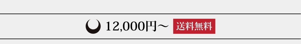 12,000円〜