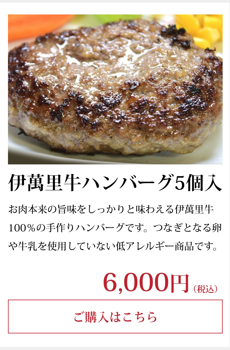 伊萬里牛ハンバーグ5個入