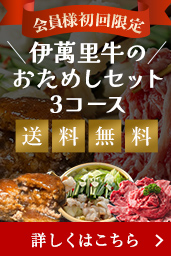 おためしセット