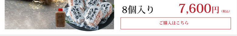 【冬ギフト】伊萬里牛(伊万里牛)ハンバーグ8個入