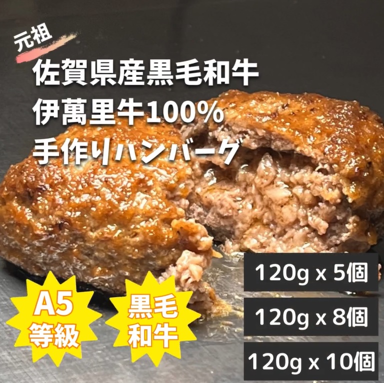 同梱・増量専用】 佐賀・国産黒毛和牛 伊萬里牛(伊万里牛)100